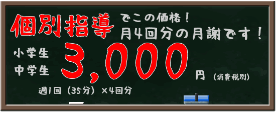 個別指導でこの価格!