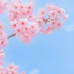 来春の公立高校入試要綱 発表(9/3)