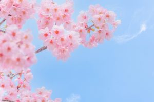 来春の公立高校入試要綱 発表（9/3）